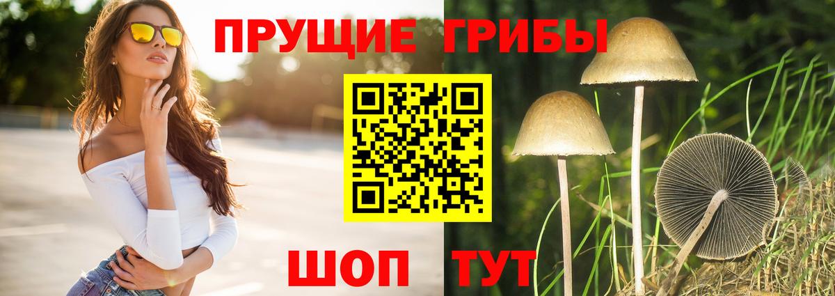 Артёмовский  Галлюциногенные грибы Psilocybine cubensis  где продают   Вход с VPN 