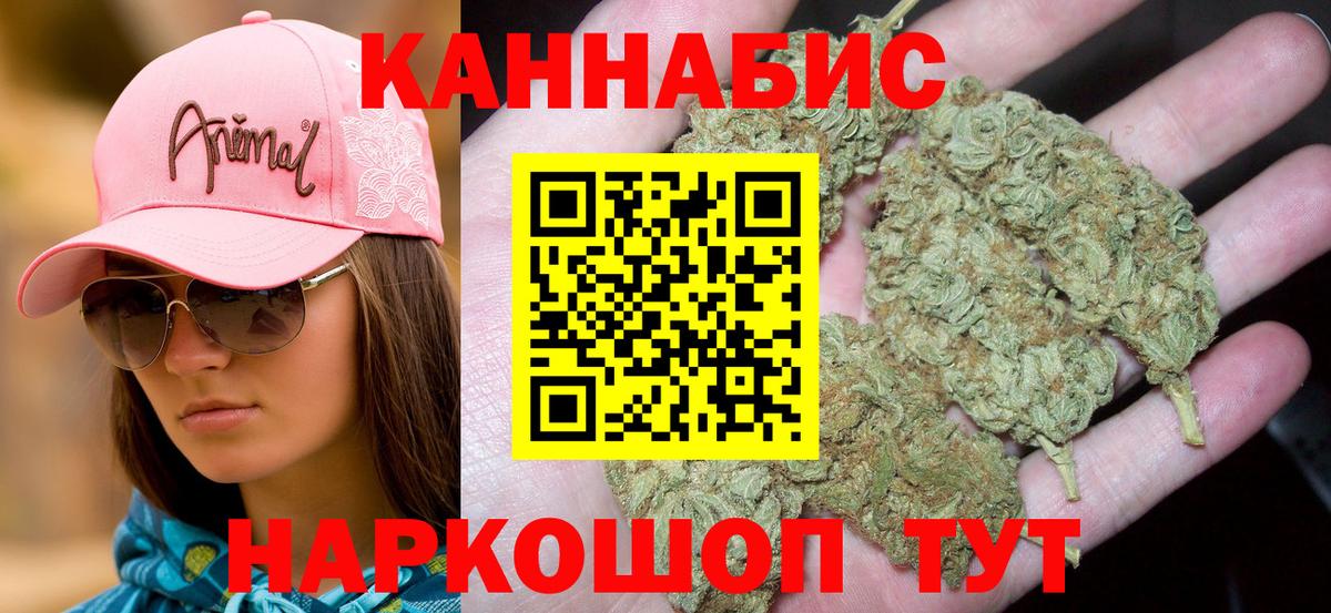 Конопля сатива  Вход с VPN  Артёмовский  Бошки Шишки семена 